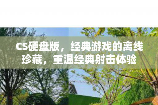 CS硬盘版，经典游戏的离线珍藏，重温经典射击体验