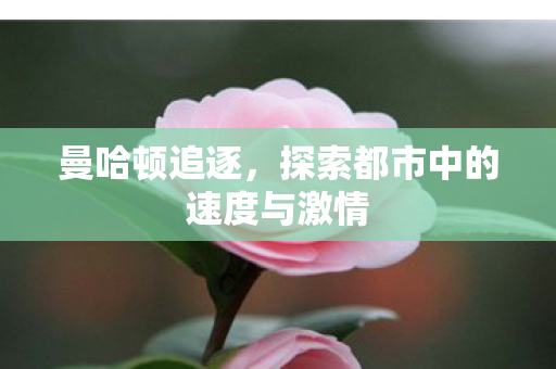 曼哈顿追逐,探索都市中的速度与激情 曼哈顿追逐,探索都市中的速度与激情
