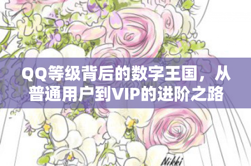 从普通用户到VIP的进阶之路图片