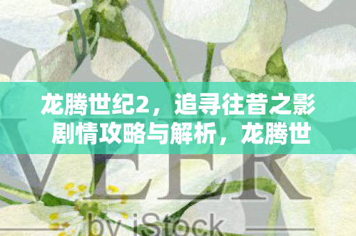 追寻往昔之影剧情攻略与深度解析图片