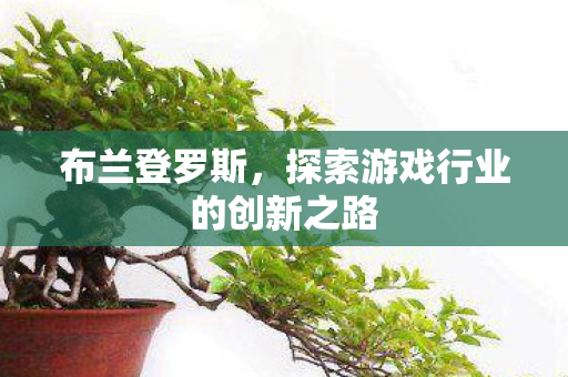布兰登罗斯,探索游戏行业的创新之路 布兰登罗斯,探索游戏行业的创新之路