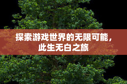 探索游戏世界的无限可能,此生无白之旅 探索游戏世界的无限可能,此生无白之旅