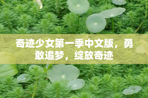奇迹少女第一季中文版，勇敢追梦，绽放奇迹