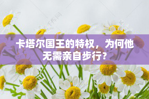 为何他无需亲自步行图片