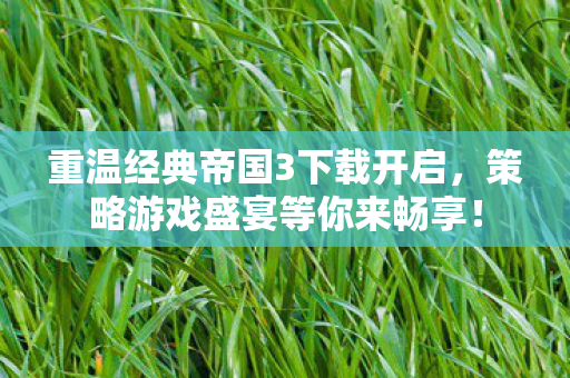重温经典帝国3下载开启，策略游戏盛宴等你来畅享！