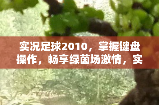 实况足球2010图片