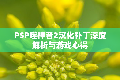 PSP噬神者2汉化补丁深度解析与游戏心得 PSP噬神者2汉化补丁深度解析与游戏心得
