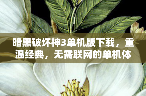 暗黑破坏神3单机版下载,重温经典,无需联网的单机体验 暗黑破坏神3单机版下载,重温经典,无需联网的单机体验