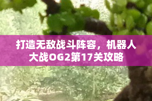 打造无敌战斗阵容，机器人大战OG2第17关攻略