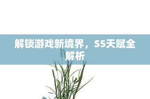 解锁游戏新境界,S5天赋全解析 解锁游戏新境界,S5天赋全解析