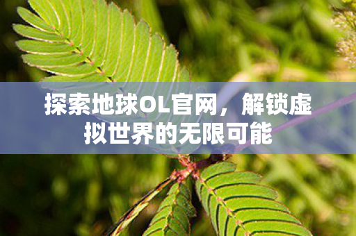 探索地球OL官网,解锁虚拟世界的无限可能 探索地球OL官网,解锁虚拟世界的无限可能
