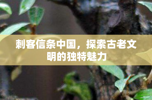 刺客信条中国，探索古老文明的独特魅力