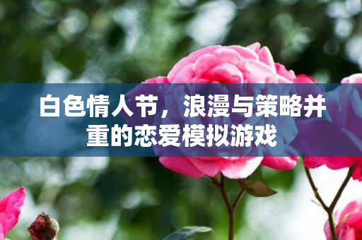 白色情人节,浪漫与策略并重的恋爱模拟游戏 白色情人节,浪漫与策略并重的恋爱模拟游戏