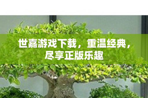 世嘉游戏下载,重温经典,尽享正版乐趣 世嘉游戏下载,重温经典,尽享正版乐趣