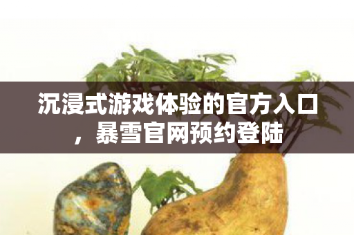 沉浸式游戏体验的官方入口图片