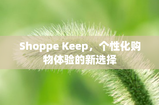 Shoppe Keep图片
