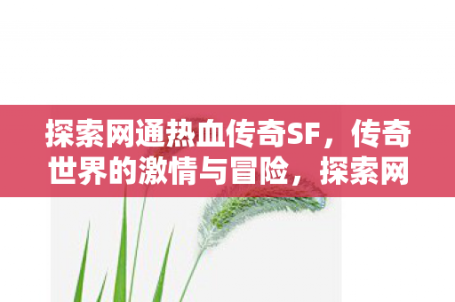 传奇世界的激情与冒险之旅图片