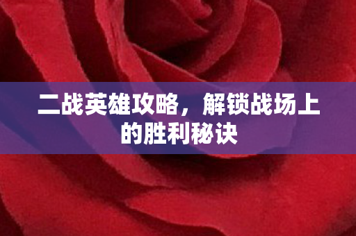 解锁战场上的胜利秘诀图片