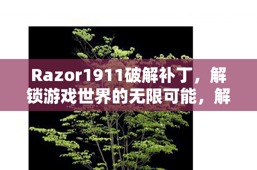 Razor1911破解补丁,解锁游戏世界的无限可能,解决常见错误 Razor1911破解补丁,解锁游戏世界的无限可能,解决常见错误