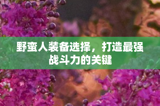 野蛮人装备选择,打造最强战斗力的关键 野蛮人装备选择,打造最强战斗力的关键
