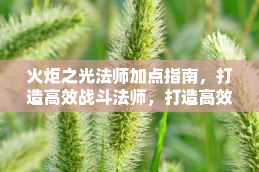 火炬之光法师加点指南图片