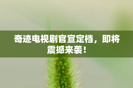 奇迹电视剧官宣定档图片