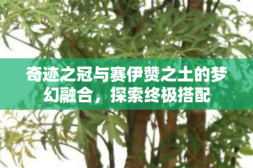 奇迹之冠与赛伊赞之土的梦幻融合图片