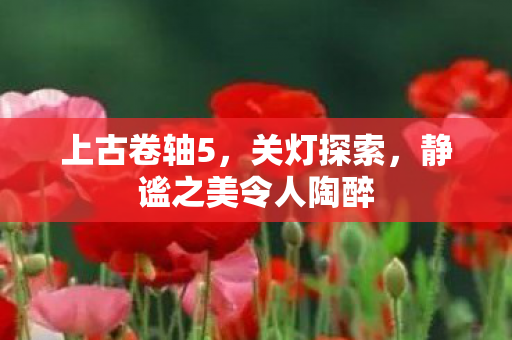 上古卷轴5,关灯探索,静谧之美令人陶醉 上古卷轴5,关灯探索,静谧之美令人陶醉