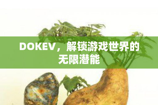 DOKEV,解锁游戏世界的无限潜能 DOKEV,解锁游戏世界的无限潜能