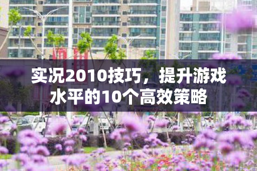 实况2010技巧,提升游戏水平的10个高效策略 实况2010技巧,提升游戏水平的10个高效策略