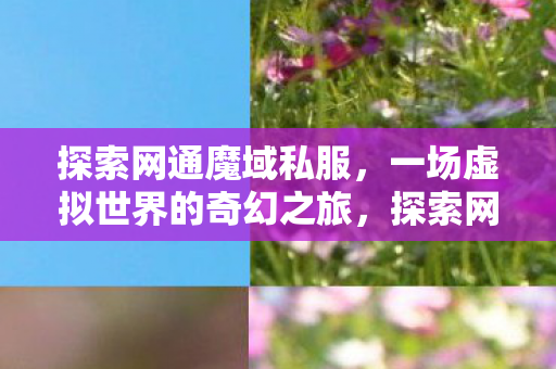 一场虚拟世界的奇幻之旅图片