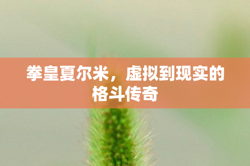 拳皇夏尔米,虚拟到现实的格斗传奇 拳皇夏尔米,虚拟到现实的格斗传奇