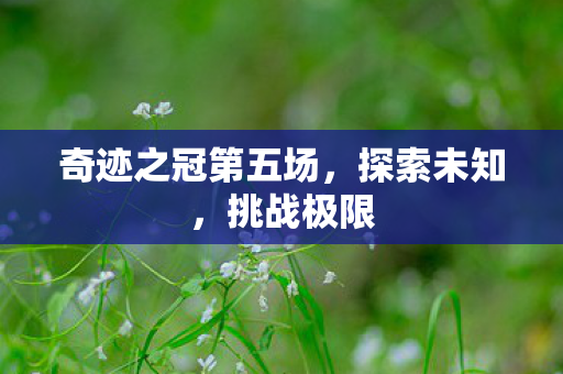 奇迹之冠第五场图片