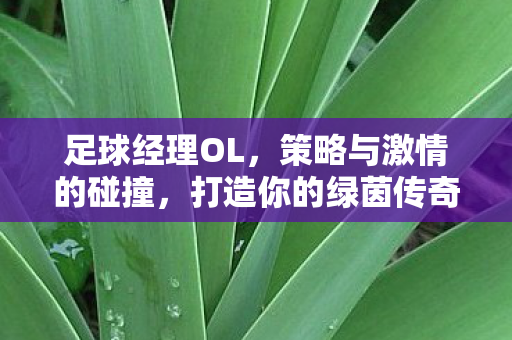 足球经理OL，策略与激情的碰撞，打造你的绿茵传奇！