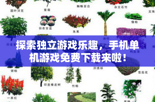 探索独立游戏乐趣,手机单机游戏免费下载来啦! 探索独立游戏乐趣,手机单机游戏免费下载来啦!