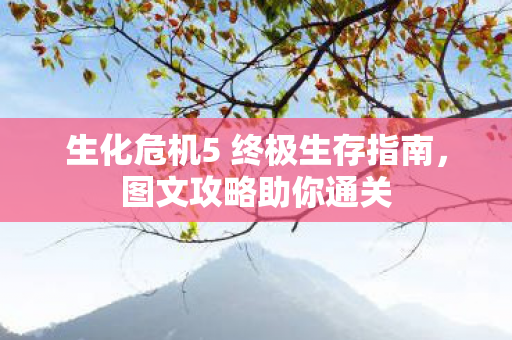 生化危机5 终极生存指南,图文攻略助你通关 生化危机5 终极生存指南,图文攻略助你通关