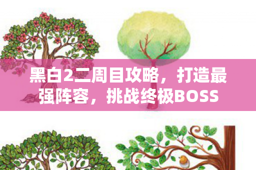 黑白2二周目攻略图片