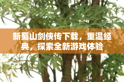 新蜀山剑侠传下载，重温经典，探索全新游戏体验