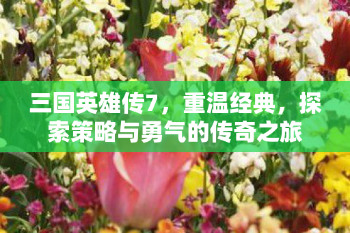 三国英雄传7，重温经典，探索策略与勇气的传奇之旅