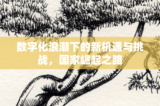 数字化浪潮下的新机遇与挑战,国家崛起之路 数字化浪潮下的新机遇与挑战,国家崛起之路