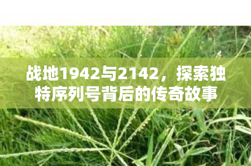 战地1942与2142，探索独特序列号背后的传奇故事