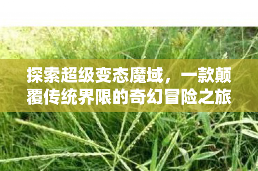 一款颠覆传统界限的奇幻冒险之旅图片