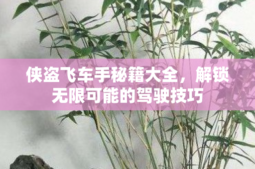 解锁无限可能的驾驶技巧图片