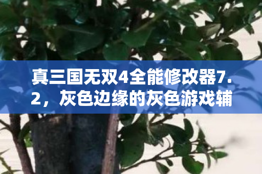 真三国无双4全能修改器7.2,灰色边缘的灰色游戏辅助 真三国无双4全能修改器7.2,灰色边缘的灰色游戏辅助