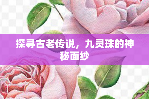 探寻古老传说,九灵珠的神秘面纱 探寻古老传说,九灵珠的神秘面纱