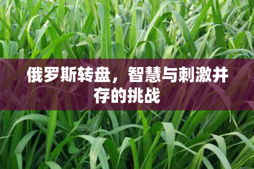 俄罗斯转盘,智慧与刺激并存的挑战 俄罗斯转盘,智慧与刺激并存的挑战