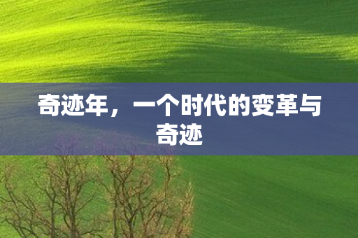 一个时代的变革与奇迹图片