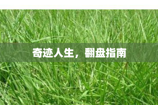 奇迹人生图片
