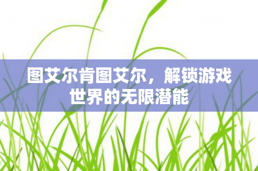 图艾尔肯图艾尔,解锁游戏世界的无限潜能 图艾尔肯图艾尔,解锁游戏世界的无限潜能