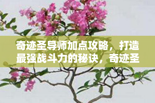 奇迹圣导师加点攻略,打造最强战斗力的秘诀,奇迹圣导师加点攻略,打造最强战斗力的秘诀 奇迹圣导师加点攻略,打造最强战斗力的秘诀,奇迹圣导师加点攻略,打造最强战斗力的秘诀